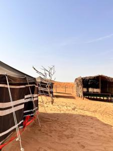 Authentic Desert Camp的沙漠中的帐篷,后面有骆驼