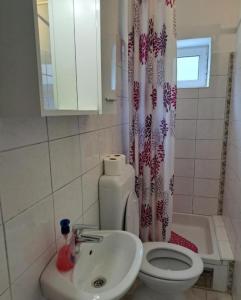 伊格拉恩Apartmani Ivano的一间带卫生间和水槽的浴室