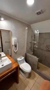 纳塔列斯港Origenes Apartments的浴室配有卫生间、淋浴和盥洗盆。