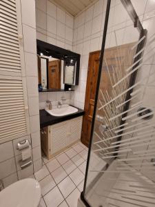 威廉港98qm Wohnung im Villenviertel - Voll ausgestattet mit Balkon und Kamin - WLAN gratis的一间带水槽、卫生间和淋浴的浴室