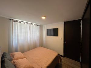 马尼萨莱斯Apartamento Centro de Manizales的一间卧室设有一张床、一台电视和一个窗口。