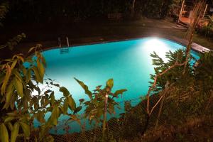 明多El Guayabal de Mindo的庭院里的一个蓝色海水游泳池