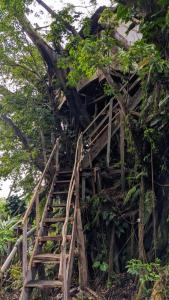 White SandsCastle Tree House And Bungalow的通往树屋的楼梯