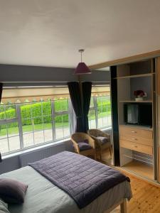 蒂珀雷里Garrenmore Lodge B&B的一间卧室配有一张床和一台电视,部分设有窗户。