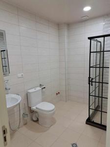 安布罗劳里Gonadze Vineyards Hotel的白色的浴室设有卫生间和水槽。