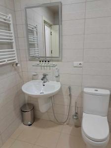 安布罗劳里Gonadze Vineyards Hotel的一间带水槽、卫生间和镜子的浴室