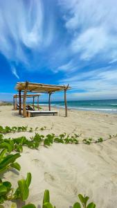 维加伊托DIEM Vichayito Beachfront Eco-Luxury的木凳坐在海边
