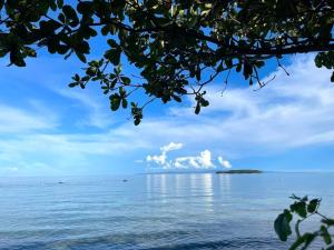 奥斯洛布Island Front - Bangcogon Resort and Restaurant的从树枝上欣赏海景