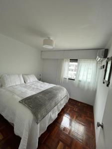 Apartamento super luminoso en Punta Carretas平面图