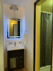萨卡特兰Hotel Quinta Luna Zacatlán的一间带水槽、镜子和淋浴的浴室