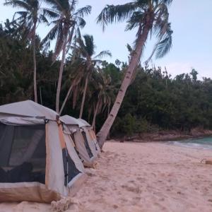 圣维森特Port Barton Island Camping的棕榈树海滩上的一排帐篷