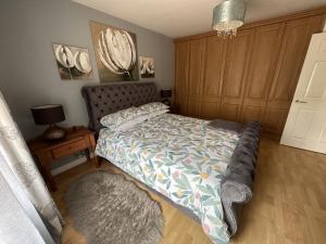 科尔雷恩Coleraine Riverside apartment的一间卧室配有一张带地毯和镜子的床