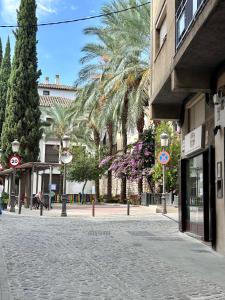 哈恩Apartamentos la Catedral de Jaén的一条拥有棕榈树的鹅卵石街道和一座建筑