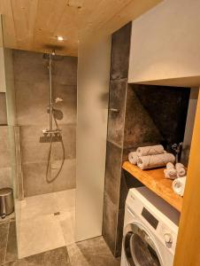 DiemtigenChalet Grittelihus, large bathroom, Lots of living space, nahe Interlaken的带淋浴和洗衣机的浴室