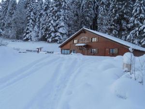 克松吕-隆日梅跳至坦克酒店的树前的雪覆盖的房子