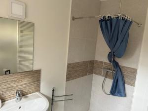 HerzeleDuivenboshuisje的浴室设有水槽和蓝色的浴帘