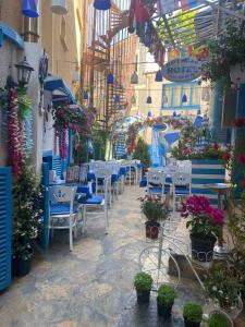 比于卡达MAVİ PALAS HOTEL的一间拥有蓝白椅子和植物的餐厅