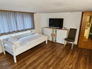 劳特阿赫VlbgApart Lauterach Bu76的一间卧室配有一张床、一台电视和一把椅子