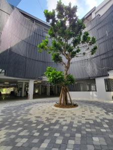 新山Sky Trees at AEON Bukit Indah with Netflix and Wifi的建筑物前的小树