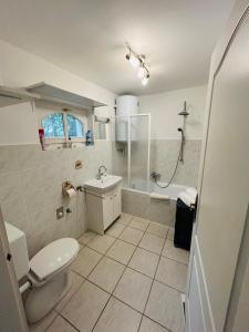 希欧福克Idyllisches Ferienhaus的浴室配有卫生间、盥洗盆和淋浴。