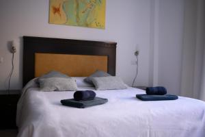 科拉雷侯Casa Sur的床上有2个枕头