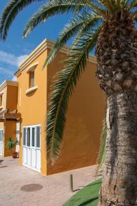 科拉雷侯Casa Sur的一座建筑前的棕榈树