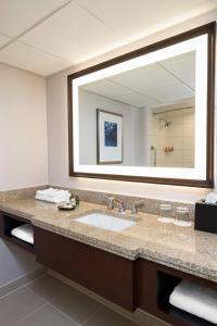 孟菲斯Sheraton Memphis Downtown Hotel的一间带水槽和大镜子的浴室