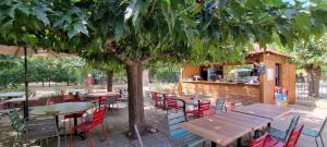 阿维尼翁Lodges & Nature - 71的树下设有桌椅的户外餐厅
