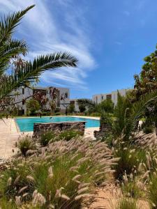 塔哈佐特Luxurious Golf & Sea View Beach Apartment with Pool Access - Cocon de Taghazout Bay的一个带两个长椅和棕榈树的游泳池