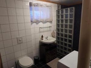 海姆瑟达尔Tommen’s Crib的浴室配有卫生间、盥洗盆和淋浴。