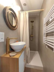 尼斯«l’Orient Express» joli 2 pièces fonctionnel的一间带碗水槽和镜子的浴室