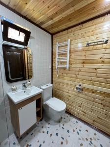 安布罗劳里Agaruka Cabin Racha的一间带卫生间、水槽和木墙的浴室