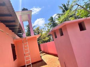 贾夫纳Jaffna Town的梯子在粉红色房子的一侧