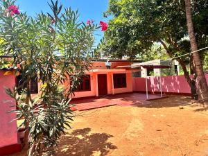 贾夫纳Jaffna Town的一座橘色房子,前面有一棵树