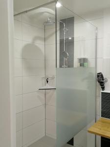 鲁斯特Ferienwohnung Am Steingarten beim Europa-Park的一间带玻璃淋浴间和水槽的浴室