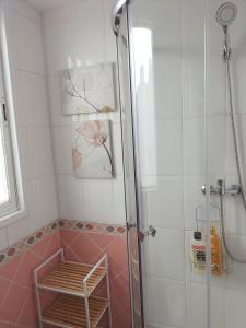 马德里El Coqueto de Vallecas的浴室里设有玻璃门淋浴