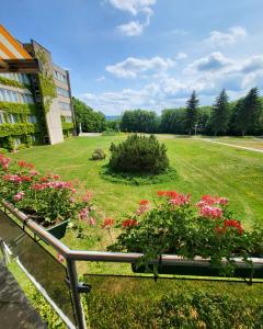 布兰肯堡Harz Hotel Vogelberg的享有鲜花公园和建筑的景色