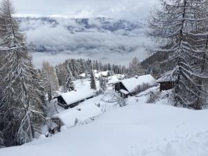SchwaigAlmhaus Goldeck的雪林中积雪覆盖的房子