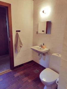 RoslevComfortable 3- bedroom villa with free parking的浴室配有白色卫生间和盥洗盆。