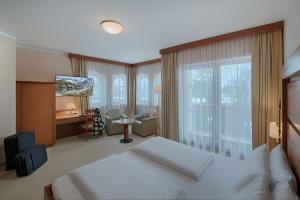 瓦尔奥纳的圣乔凡尼Naturhotel MOLIN的一间卧室配有一张床、一张书桌和一台电视