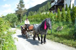 CiocăneştiCasa Aureliana的骑着马车在土路上的人