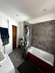 布洛涅-比扬古Appartement Confortable et Spacieux Boulogne-Billancourt的带浴缸和淋浴帘的浴室