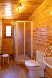 MinglanillaALBERGUE CONTRERAS的带淋浴、卫生间和盥洗盆的浴室