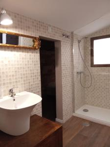 莱里达Apartamentos "Casa Melé" 3, Parking privado opcional的一间带水槽和淋浴的浴室