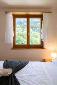 坎德施泰格Peacefull Mountains View的一间卧室设有一张床和一个窗口