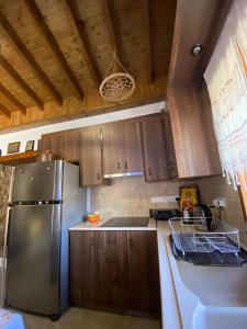 洛弗Lofitiko的厨房配有不锈钢冰箱和木制橱柜