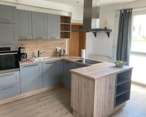 巴特德里堡2 P. Appartement am Kurpark的厨房配有灰色橱柜和台面