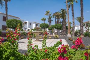 圣米格尔德阿沃纳钻石度假酒店皇家特内里费岛乡村俱乐部的种有粉红色花卉和棕榈树的花园