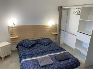 罗莫朗坦Maison 10 couchages的一间卧室配有一张带两个枕头的床