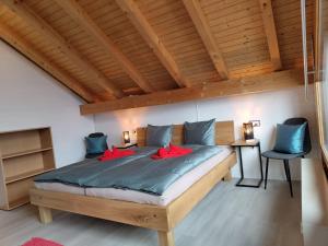 塞利斯贝格Traumhafte Villa Seelisberg的一间卧室配有一张带红色枕头的大床